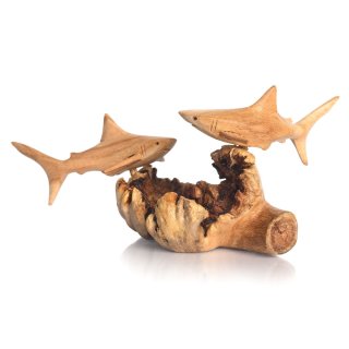 Sharks root wood