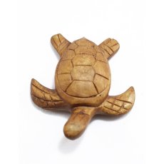 Wasserschildkröten 5er Set